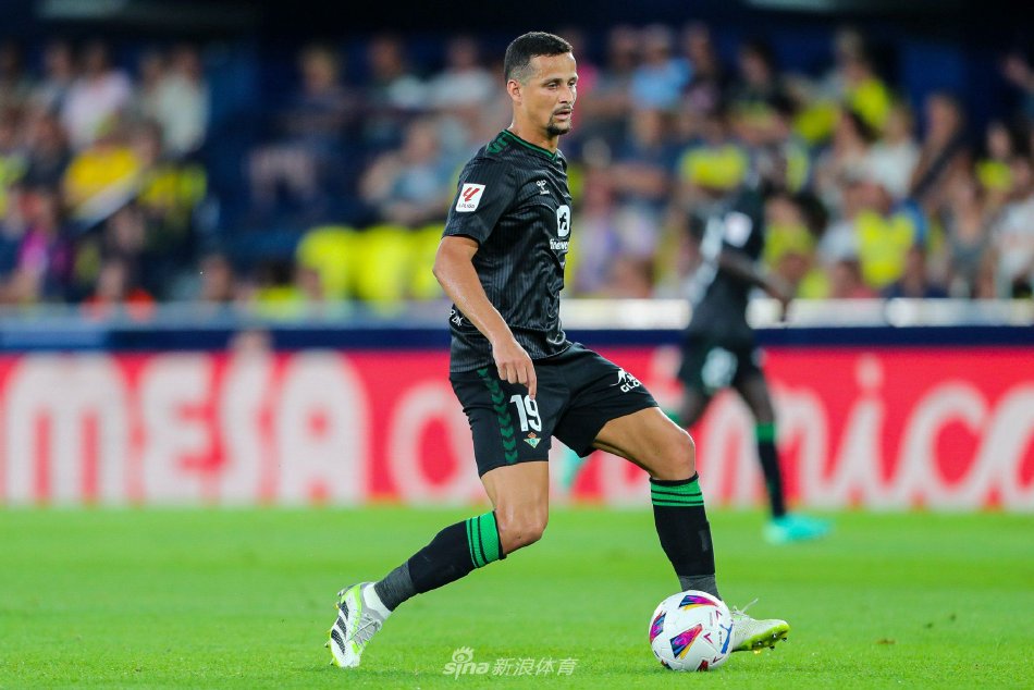 黑统治地位 黑统治地位